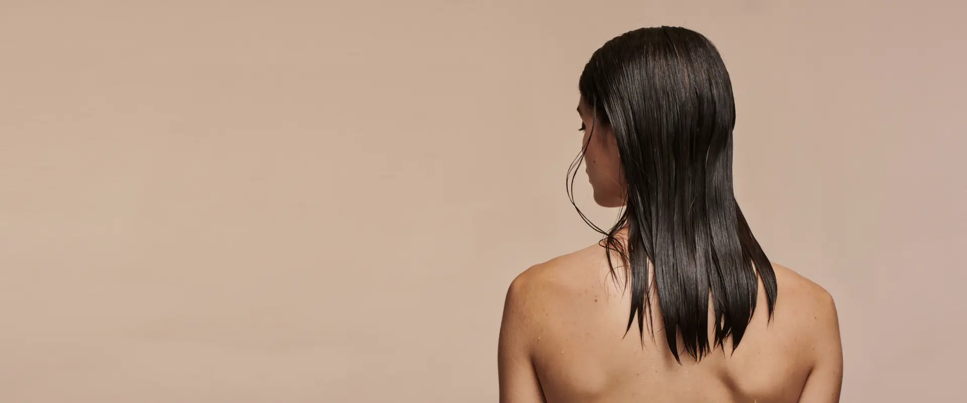 Totara Iniciar sesión